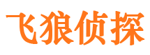 平果市私家调查